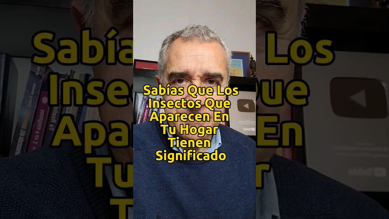 ¿Qué es un saco de dormir con protección anti insectos?