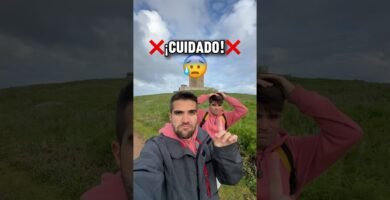 Comparación entre marcas de sacos ultralivianos para mochileros para viajeros frecuentes