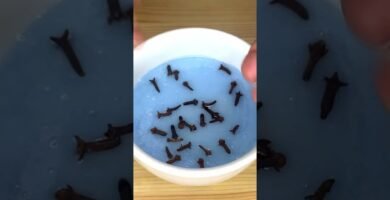 Mejores prácticas que ayudan a eliminar mal olor de saco de dormir con seguridad