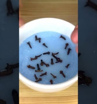 Revisión de métodos caseros y comerciales para eliminar mal olor de saco de dormir