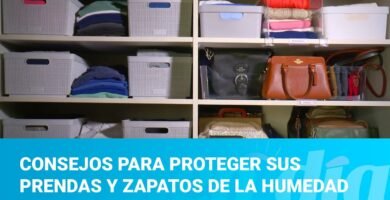 Recomendaciones de expertos para proteger el saco de la humedad y el moho correctamente