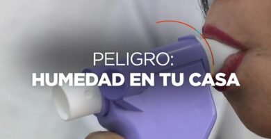 ¿Cada cuánto es recomendable proteger el saco de la humedad y el moho?