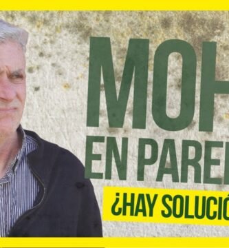 Cómo prevenir daños a largo plazo al proteger el saco de la humedad y el moho