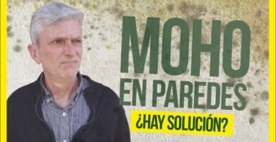 Cómo prevenir daños a largo plazo al proteger el saco de la humedad y el moho