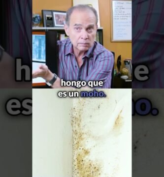 Trucos caseros efectivos para proteger el saco de la humedad y el moho sin complicaciones