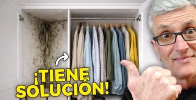 Ventajas de proteger el saco de la humedad y el moho regularmente para mayor durabilidad